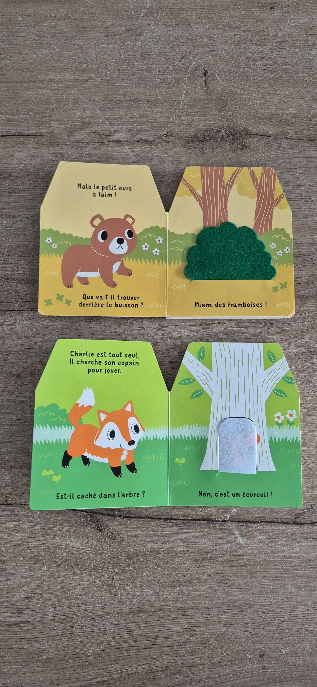 Lot de livros Cache-cache em feltro – photo 5